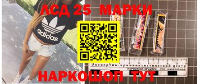 твердый Будённовск