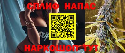 твердый Будённовск