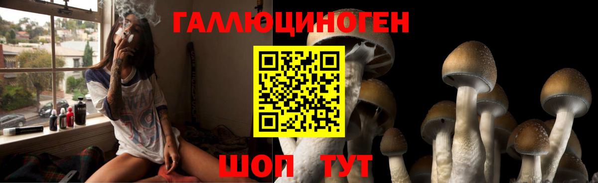Галлюциногенные грибы Cubensis Сатка